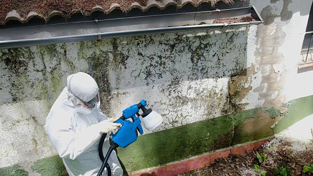 Trusted Basement Mold Remediation service in Drake, CO - Cheap Mold Removal